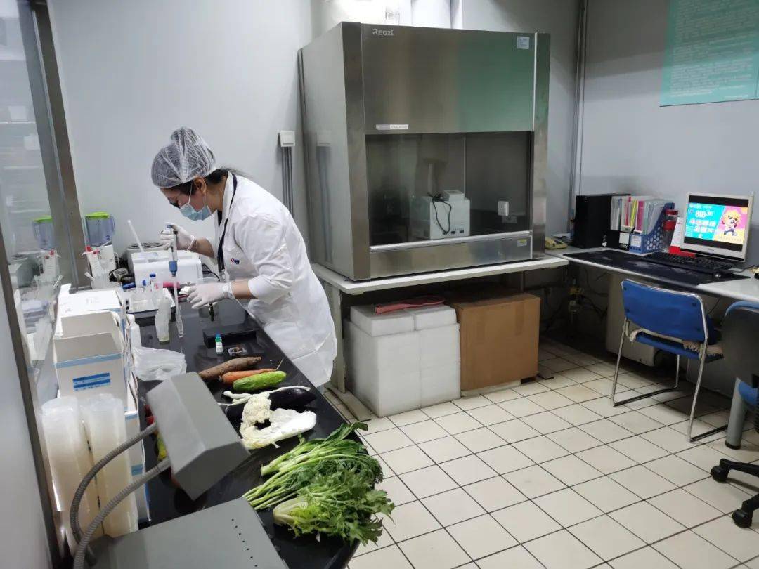 鹤城食品检测实验室装修方案